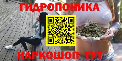метадон Тверь