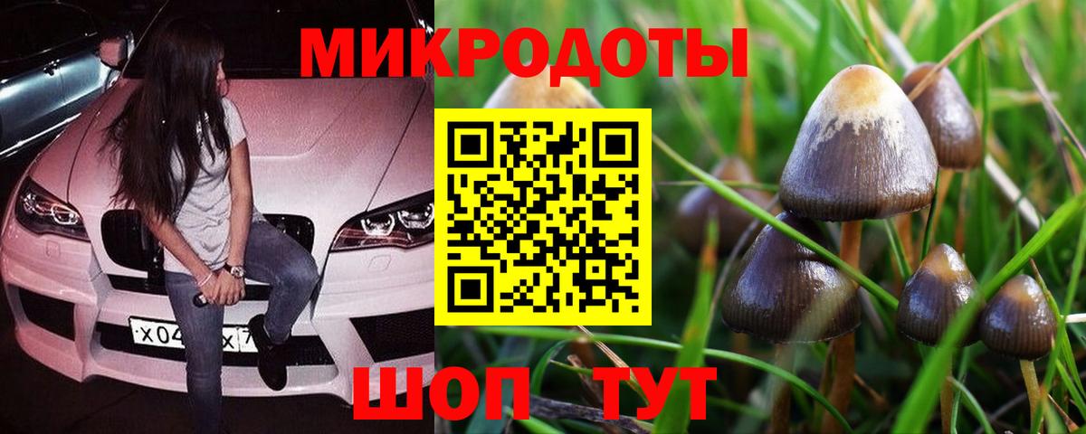 Галлюциногенные грибы прущие грибы Нефтеюганск